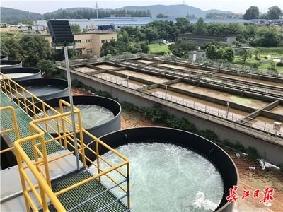 九峰明渠臨時污水處理設施高效運行，顯著削減入東湖污水量