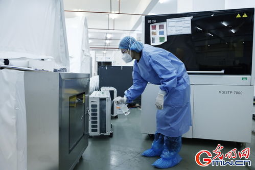 守滬者聯(lián)盟丨上海建成'火眼'實驗室，日檢測通量可達10萬單管